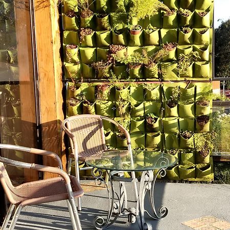 Preciosa Cabana En Fraijanes Eksteriør bilde